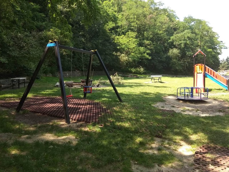 Park SNP